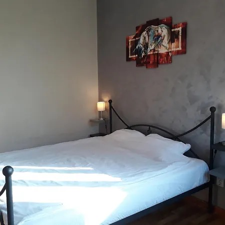 Njegoseva Presidential Vracar 公寓 贝尔格莱德