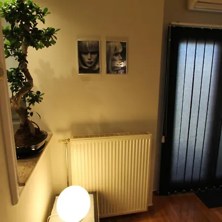 Njegoseva Presidential Vracar Apartment