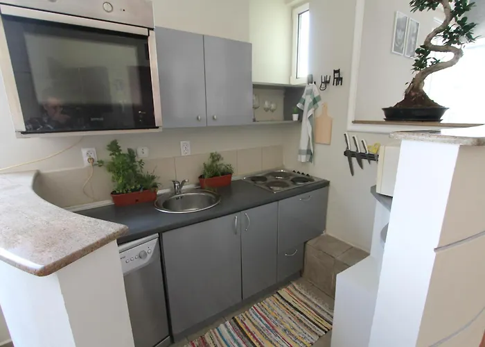 Njegoseva Presidential Vracar Belgrado