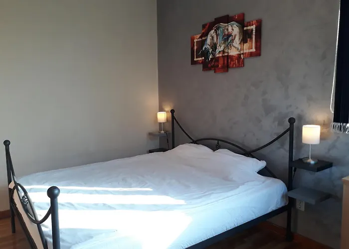 Njegoseva Presidential Vracar Apartamento Belgrado