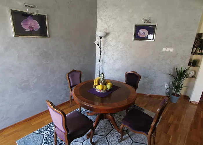 Njegoseva Presidential Vracar Apartament Belgrad
